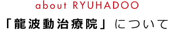 龍波動治療院について